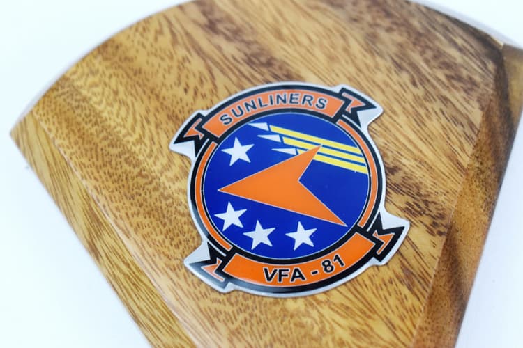 VFA-81 Sunliners 2014 USS Harry S. Truman FA-18E Model