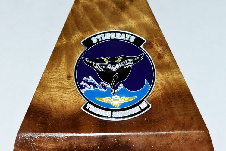 Beechcraft® TC-12 Huron, VT-35 Stingrays