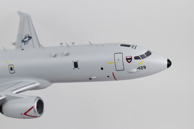 VP-16 War Eagles P-8a (429)