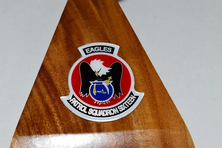 VP-16 War Eagles P-8a Poseidon (429) Model