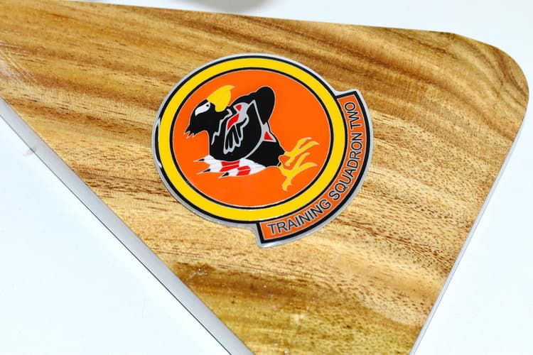 Beechcraft® T-6 Texan II, VT-2 Doerbirds CONA