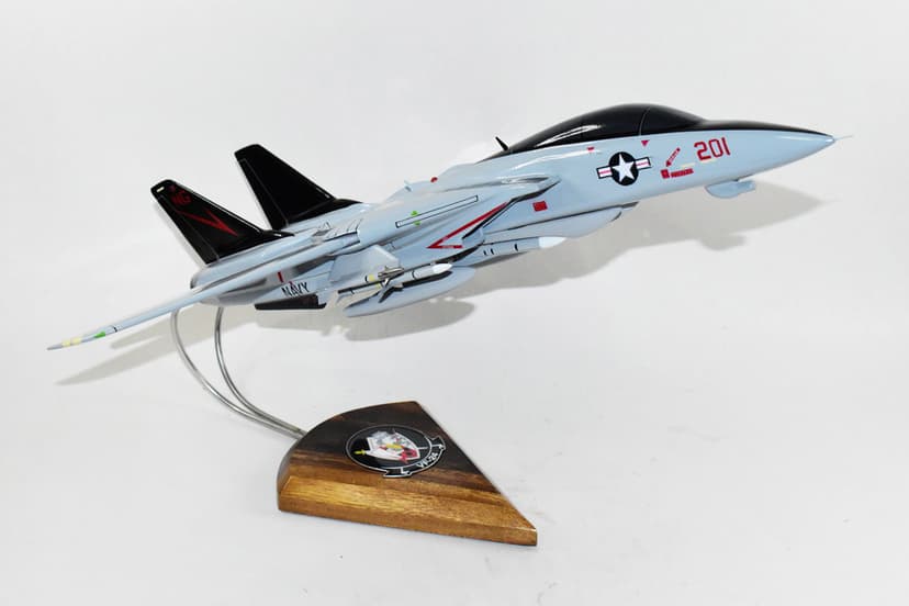 VF-24 Fighting Renegades F-14a (1994) Model