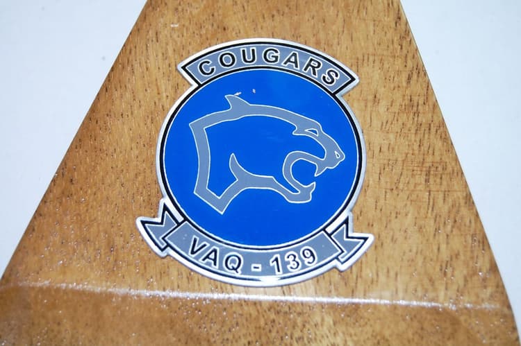 VAQ-139 Cougars EA-6b Model