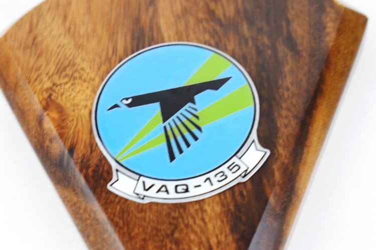 VAQ-135 Black Ravens EA-18G Growler Model
