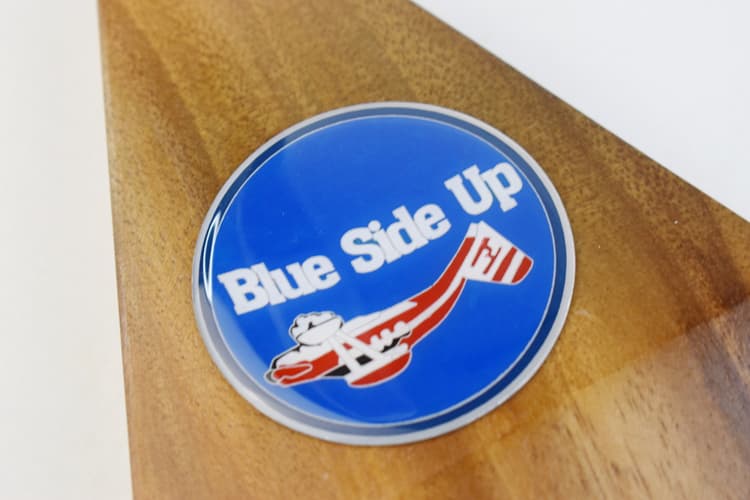 Cessna® 172 Skyhawk (N4331R)