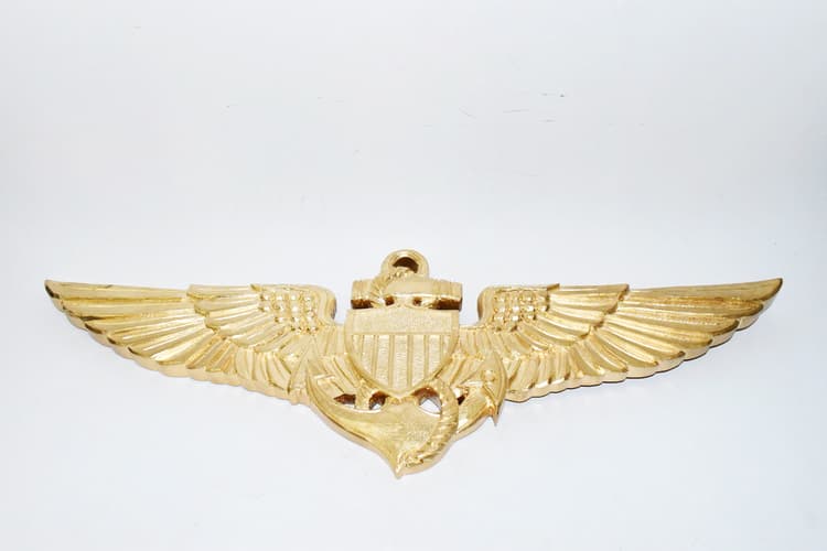 Naval Aviator Wings