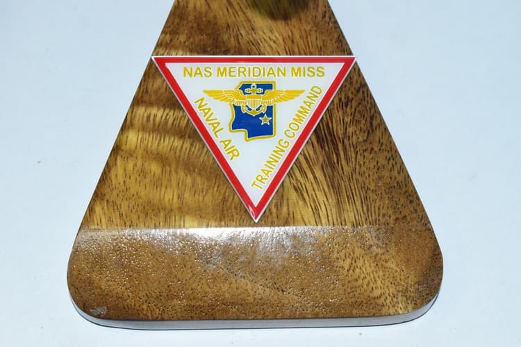 NAS Meridian UC-12b Model