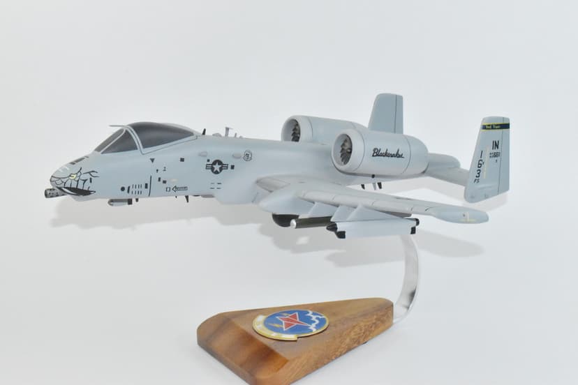 163d Fighter Squadron Blacksnakes A-10 Warthog Model