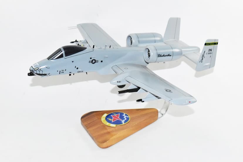 163d Fighter Squadron Blacksnakes A-10