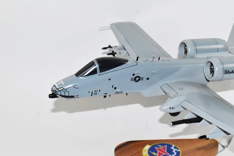 163d Fighter Squadron Blacksnakes A-10