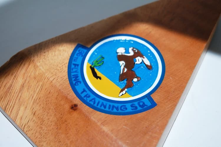 96th Flying Training Squadron T-38