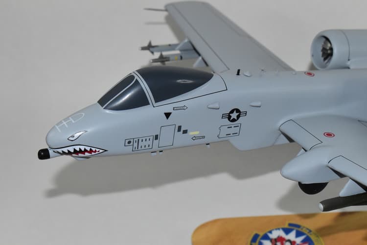 74th Fighter Squadron Flying Tigers A-10 Warthog