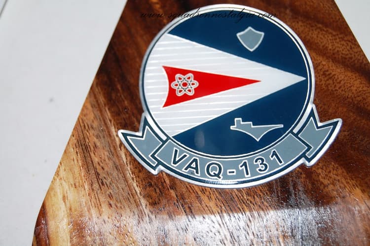 VAQ-131 Electronic Attack Squadron (1970) Lancers EKA-3b