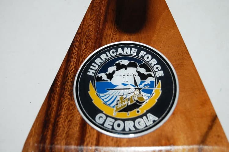 B 1-169th Aviation Georgia CH-47 Model