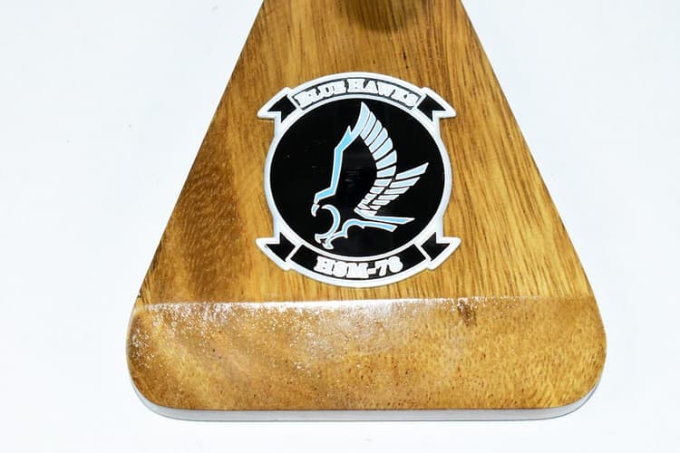 HSM-78 Blue Hawks MH-60R Model