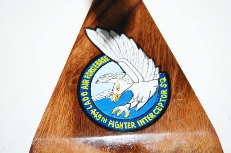 449th FIS F-89 Model