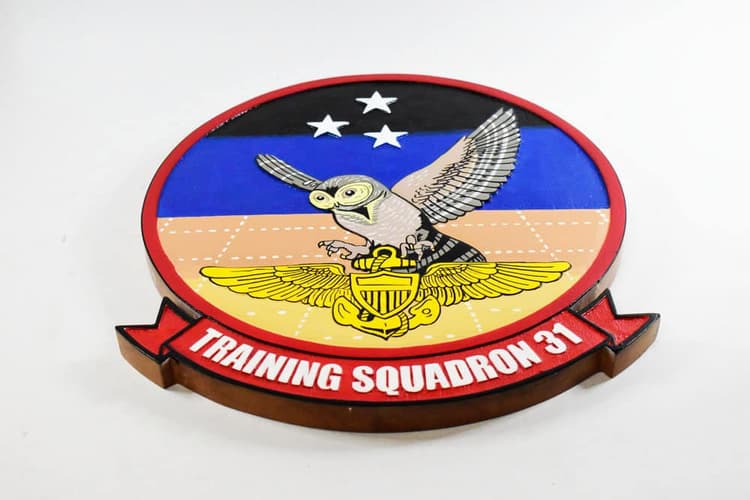 VT-31 Wise Owls Plaque