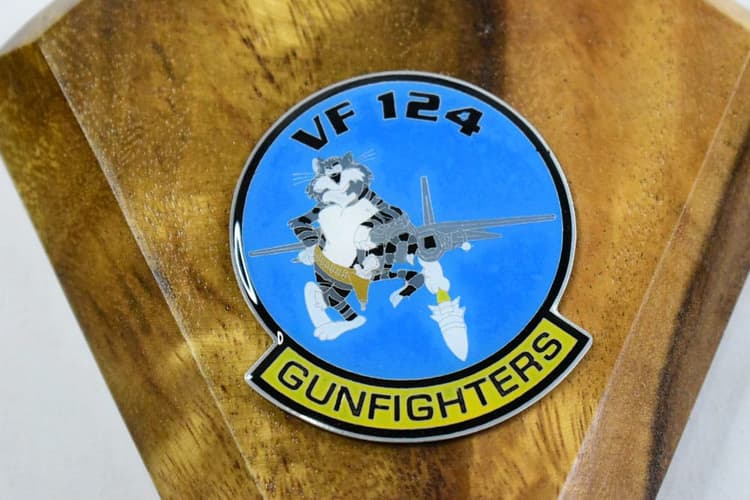 VF-124 Gunfighters F-14a Model