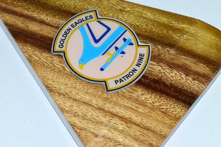 VP-9 Golden Eagles (850) P-8 Model