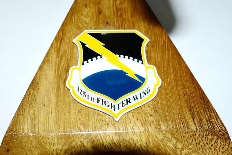 325th Fighter Wing (Tyndell) F-106 Model