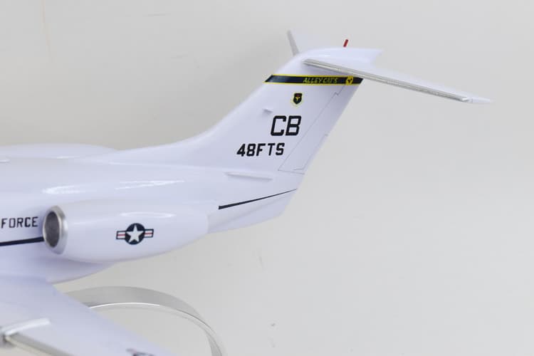 Beechcraft® (Raytheon) T-1 Jayhawk, 48th FTS Alley Cats