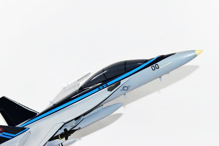 Navy Fighter's Weapon School F/A-18F Model