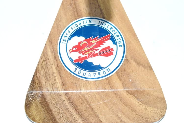 123rd FIS Redhawks F-89 Model