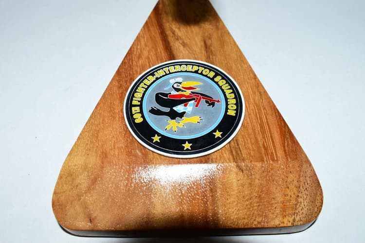 60th Fighter Interceptor Squadron 1970 F-101B Voodoo Model