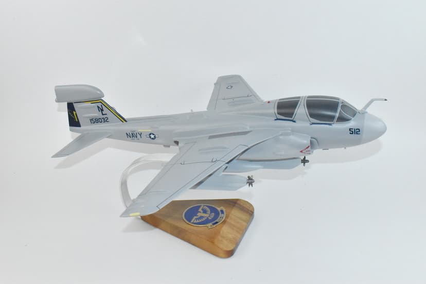 VAQ-128 'Fighting Phoenix' 2003 EA-6b Model