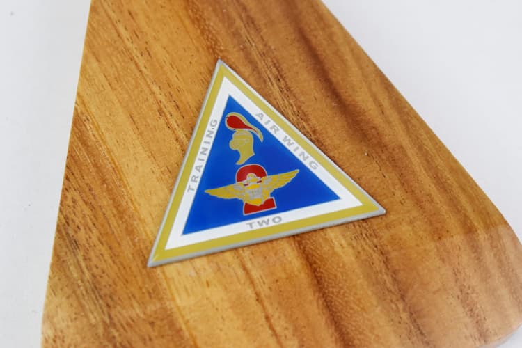 TW-2 Texas Flag (2019) T-45C Model