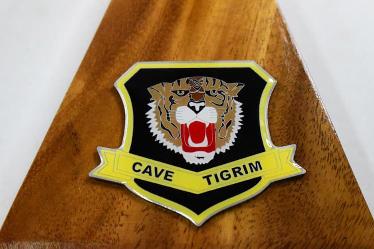 460th FIS Cave Tigrem 1972 F-106A Model