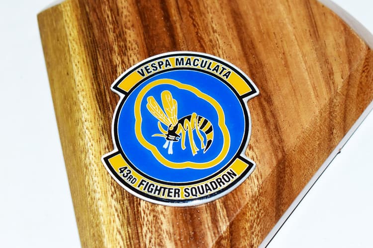 43rd Fighter Squadron F-15 Model
