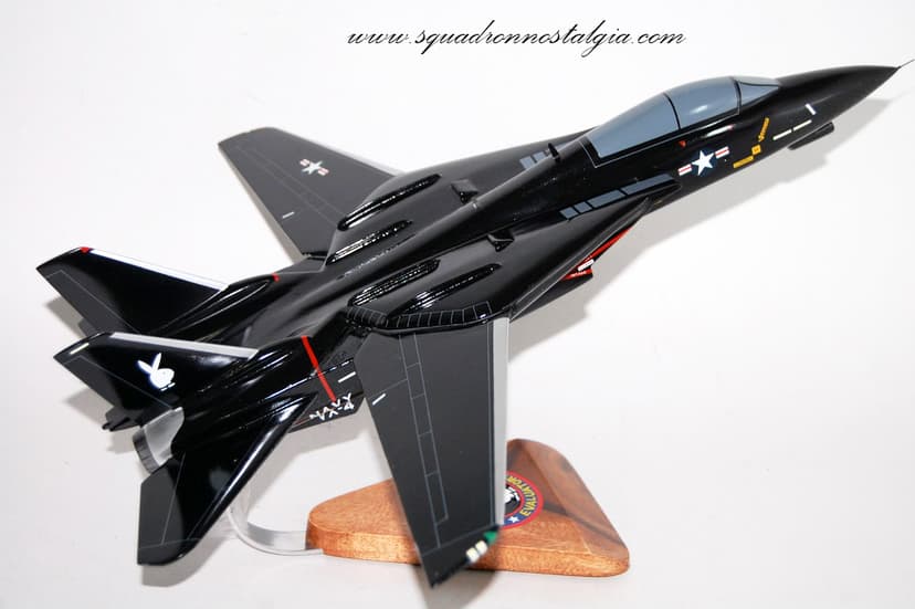 VX-4 Evaluators F-14 Model