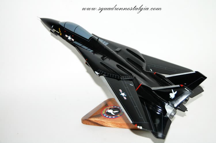 VX-4 Evaluators F-14 Model