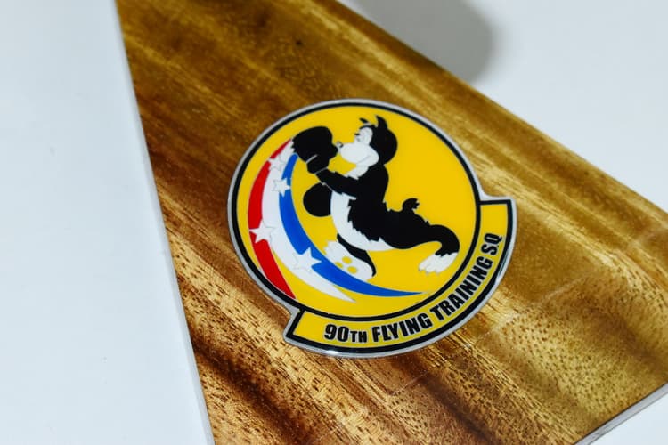 90th FTS Boxin' Bears (Heritage), T-38C Talon Model