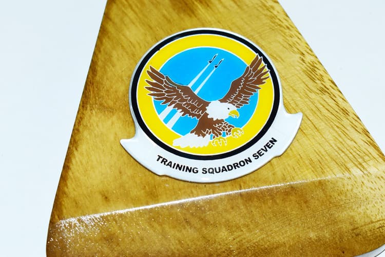 VT-7 Eagles 2025 NAS Meridian, TW-1, T-45C Model