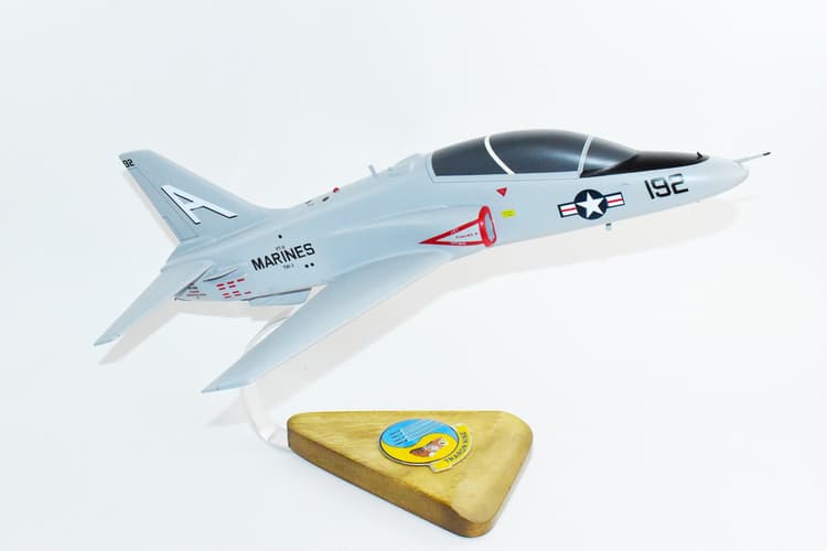 VT-9 Tigers 2025 NAS Meridian, TW-1, T-45C Model
