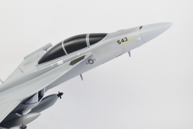 VAQ-132 Scorpions 2020 EA-18G Model