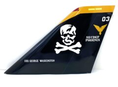 VF-103 Jolly Rogers F-14 Tail Flash