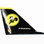 VF-31 Tomcatters F-14 Tail