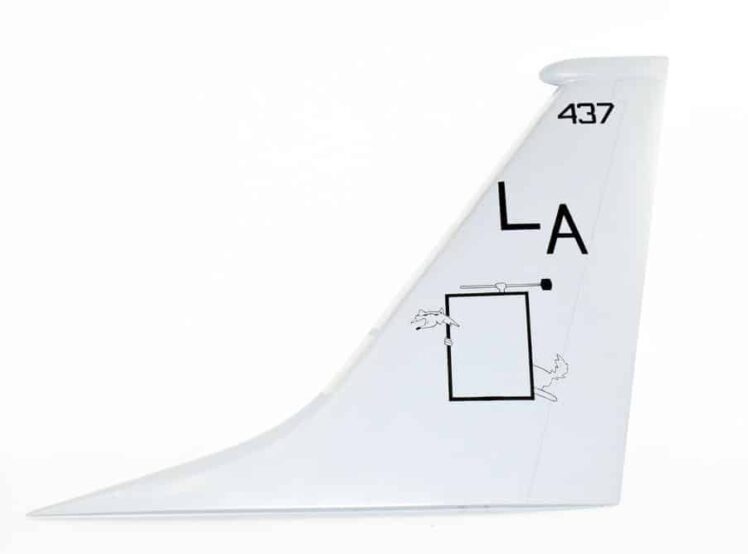 VP-5 Madfoxes P-8a Tail