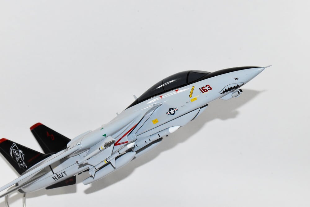 VF-101 Grim Reapers F-14d Tomcat Model