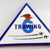 TAW-6 Training Air Wing Six Plaque