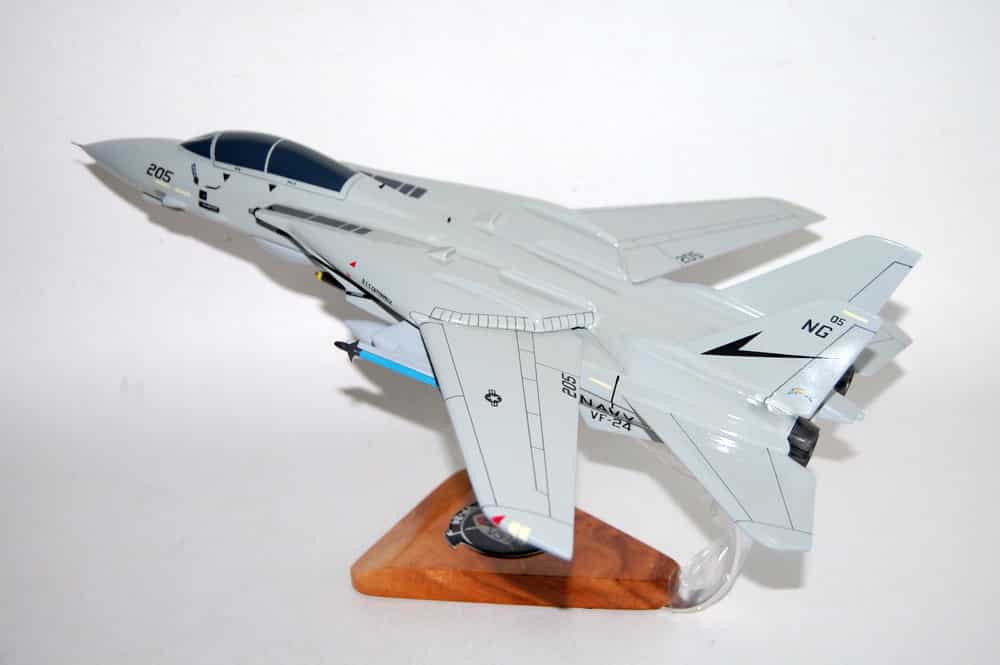 VF-24 Fighting Renegades F-14a Model
