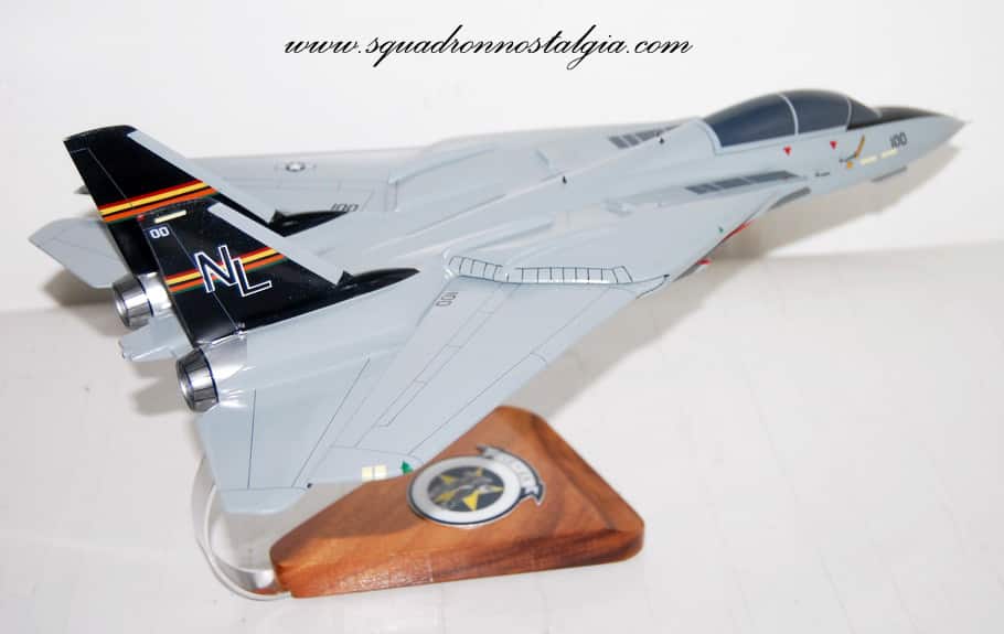 VF-51 Screaming Eagles F-14a model