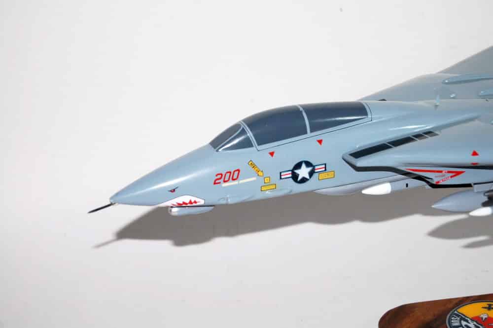 VF-111 Sundowners F-14a Model