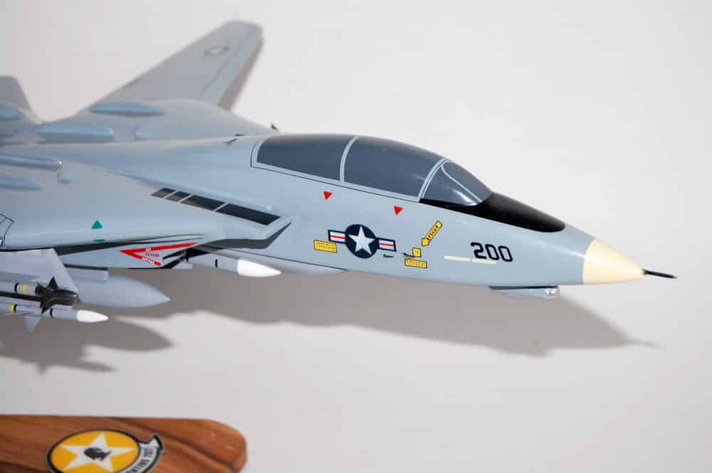VF-202 Superheats F-14 Model