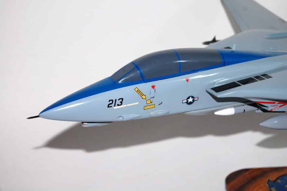 VF-213 Fighting BlackLions F-14d Tomcat Model