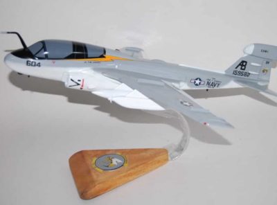 VAQ-138 Yellow Jackets EA-6B Model