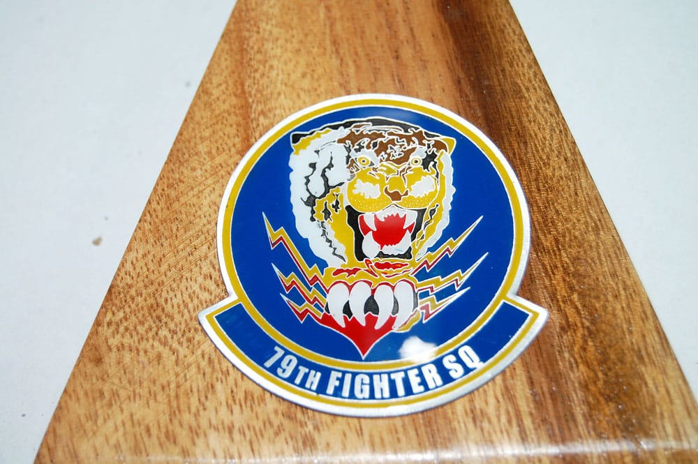 79th FS Tigers F-16 Model